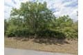 3613 Vassar St Lot 18
