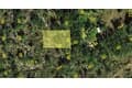 261 Sawfish Ln