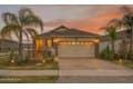367 Caryota Ct