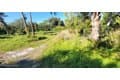 6235 N Tropical Trl