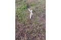500 SE 31st Ter Lot 79