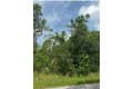 3351 Tiffiny St