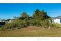 3013 Chapman Blvd