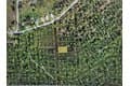 900 Orange Brook Ln