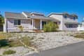 651 Jungle Queen Way