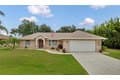 7360 N Ficus Tree