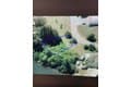 Majorca Pl Lot 52