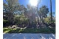 23469 Wickens Ave