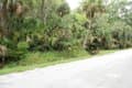 Palm Dr