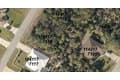 1141177118 Derrick St
