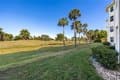 4015 Palm Tree Blvd Apt 102
