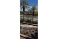 3160 Matecumbe Key Rd Apt 213