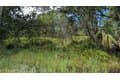 3241 Douglas Rd