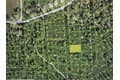 910 Orange Brook Ln