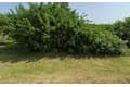 211 Westwind Dr