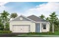 2166 Bamboo Palm Cv