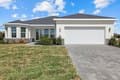 7338 N Ficus Tree