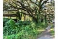 5103 Taylor Rd N