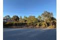 Hernando Rd Lots 35 & 36
