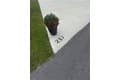 237 Horizon Rd Lot 237
