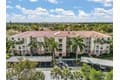 4011 Palm Tree Blvd Apt 401
