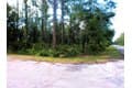 Sequoia Dr