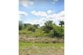 1268 Bacon Ave