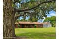 545 Chase Hammock Rd