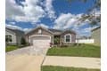 13102 Satin Lily Dr