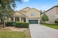 14218 Blue Dasher Dr