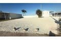 2858 Trinidad Way