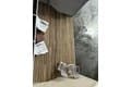 73 Fishermans Cove Rd