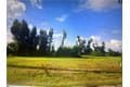1620 SW 4th St
