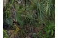 7879 Grafton Rd