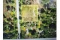 2122 Pinegrove Cir
