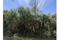 Walmsley Ave Lot 16