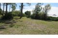 2064 Little Pine Cir