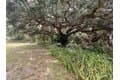 18251 Persimmon Ridge Rd