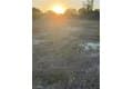 4224 SW 15th Pl