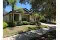 11617 Palmetto Pine St
