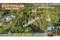 25210 Papillion Dr Lot 605
