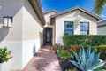 12064 Blazing Star Dr