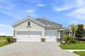 2003 Bamboo Palm Cv