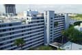 201 W Laurel St Apt 712
