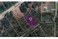 5310 Papaya Dr