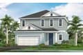 2153 Bamboo Palm Cv